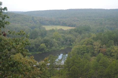 DSC_0008.jpg