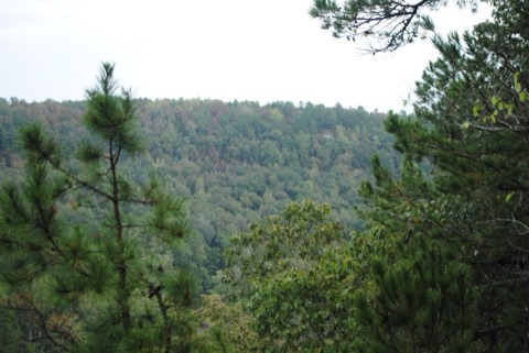 DSC_0031.jpg